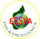 Logo ESSVA